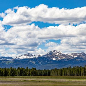 Made in Yellowstone